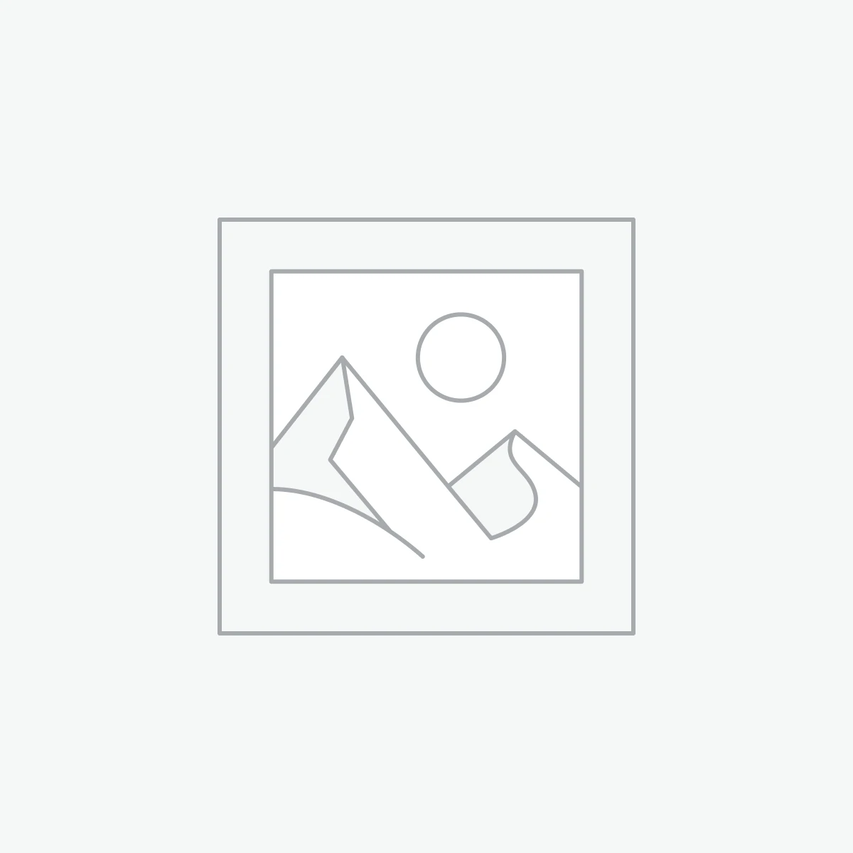 2-STROKE PETROL ENGINE